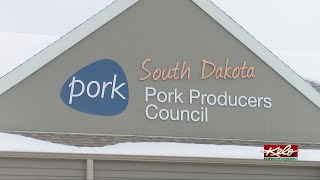 Closure of Smithfield Foods in Sioux Falls leaving area pork producers concerned