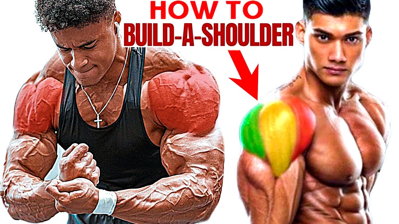 Make Bigger SHOULDERS in 30 DAYS! Gym Exercises 