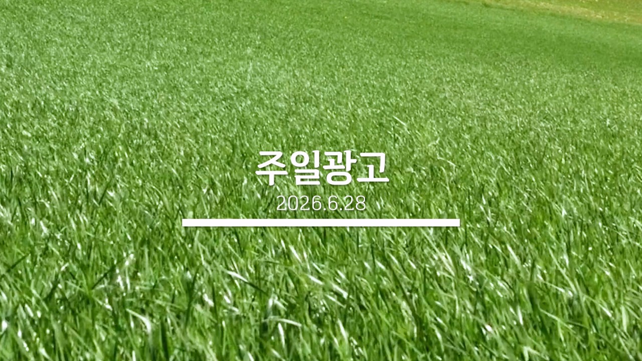 20260628 교회소식