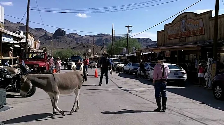 Wild West Show - Oatman - Arizona