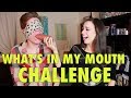 WHAT'S IN MY MOUTH CHALLENGE! | Kory Desoto