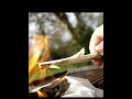 99 % kennen diesen Outdoor‑Trick nicht! Das Feuerbäumchen #bushcraft #nature #diyprojekt #outdoor