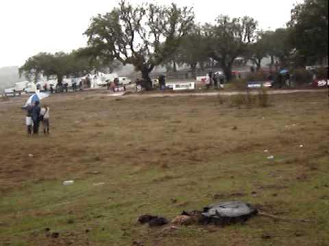 NISSAN NAVARA, MONTERO EN BAJA PORTALEGRE.