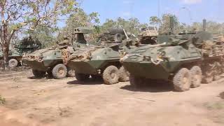 1st LAR Bn. participates in Exercise Predator’s Run 24