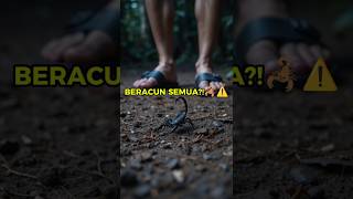 Semua Kalajengking Beracun?!Ini FaktaMengejutkannya!🦂⚠️#Kalajengking#FaktaKalajengking#ScorpionFacts