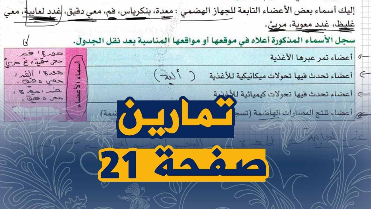 تمارين الكتاب الرابعة متوسط الجيل الثاني