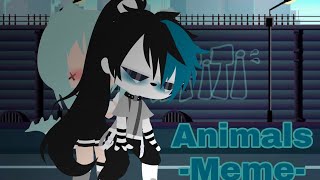 ✨Animals✨ -|Meme GC|-