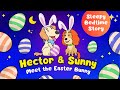 A goodnight childrens bedtime story   hector and sunny meet the easter bunny