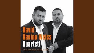 Video thumbnail of "David & Danino Weiss Quartett - Dancing in the Dark"