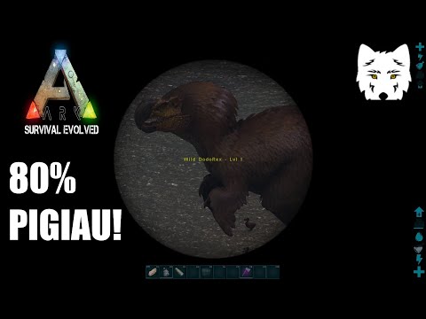 Video: Kaip įjungti Zombių Mod