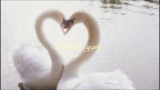 Vangelis : La petite fille de la mer - 1 hour {for reading, studying or sleeping}🌷🎹