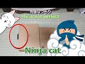 😼猫忍者、箱隠れの術【癒し系猫動画】ハチワレ&amp;キジ白たち