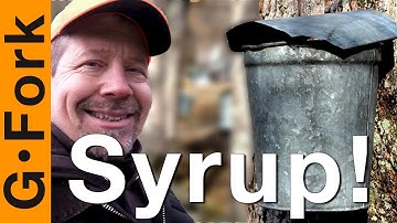 You Can Make Maple Syrup, Here