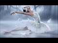 cygne la majeur / omar