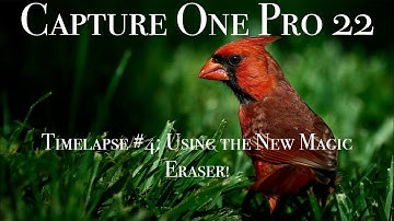 How to edit a RAW Photo in Capture One | Timelapse