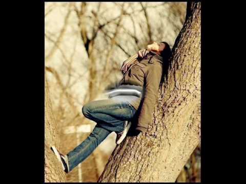رامى جمال  كل شيئ معمول حسابه 