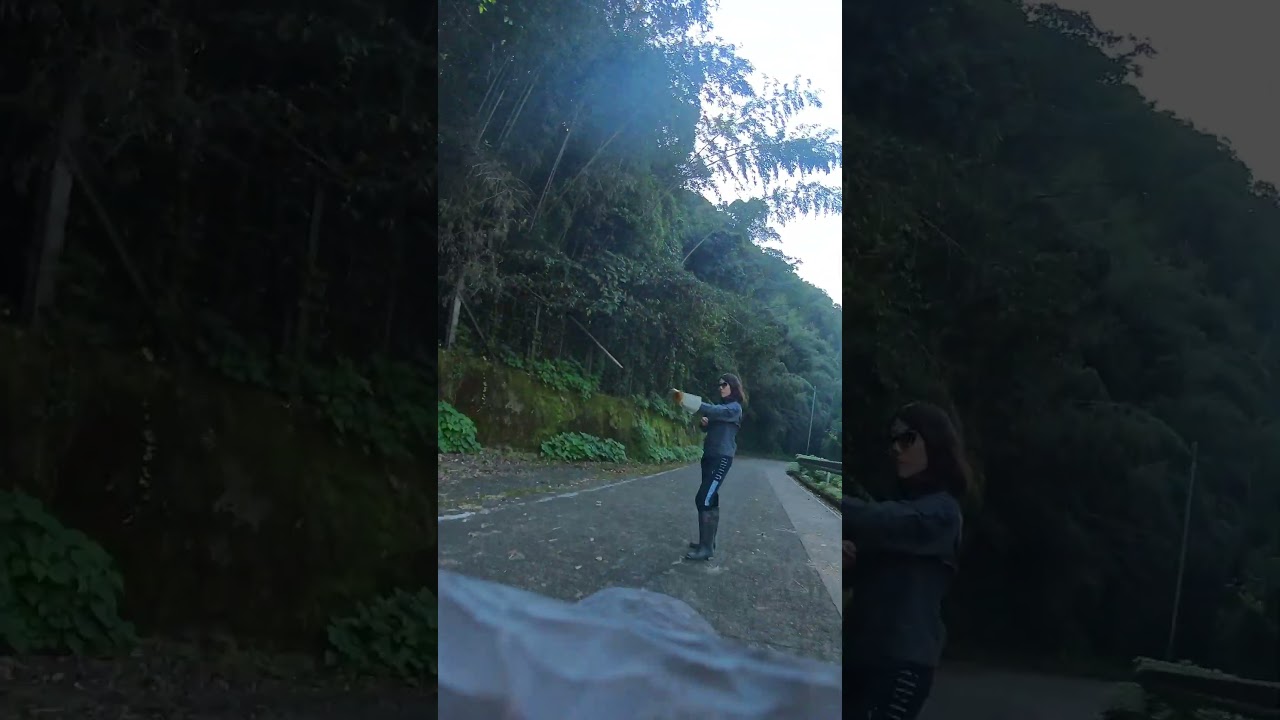 鷹かが飛んでみる