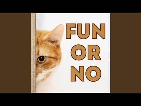 Fun In The Afternoon 