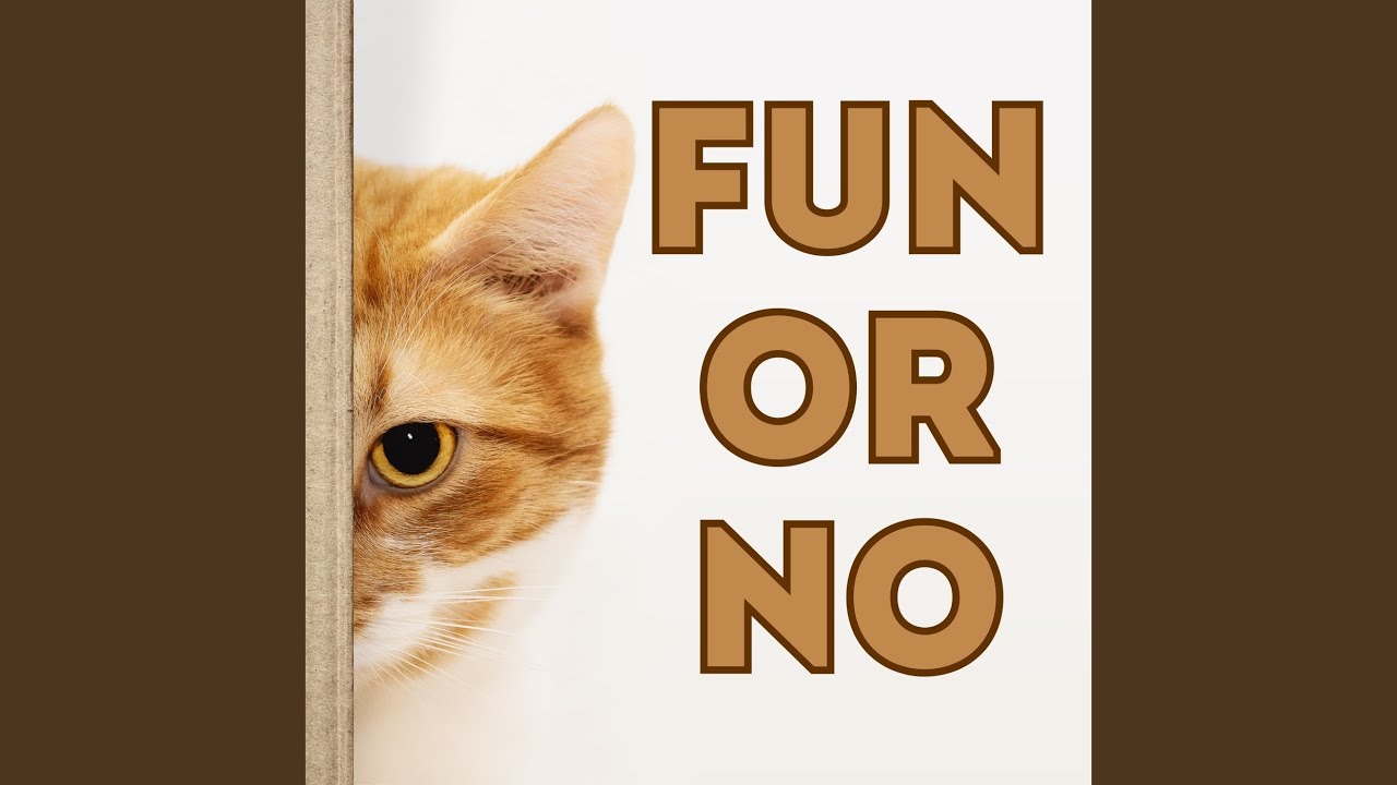 Fun in the Afternoon