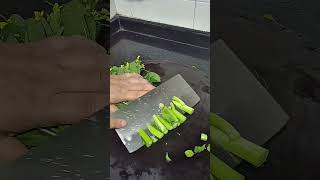 Tl 71002001 Mini Rotary Tillage And Ridging All - In One Hundred Seventy Five Tree 🌴