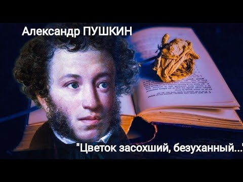 Александр Пушкин "Цветок "(Цветок засохший, безуханный...) читает Павел Морозов