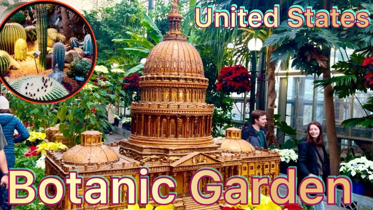 United States botanic garden | Washington, DC