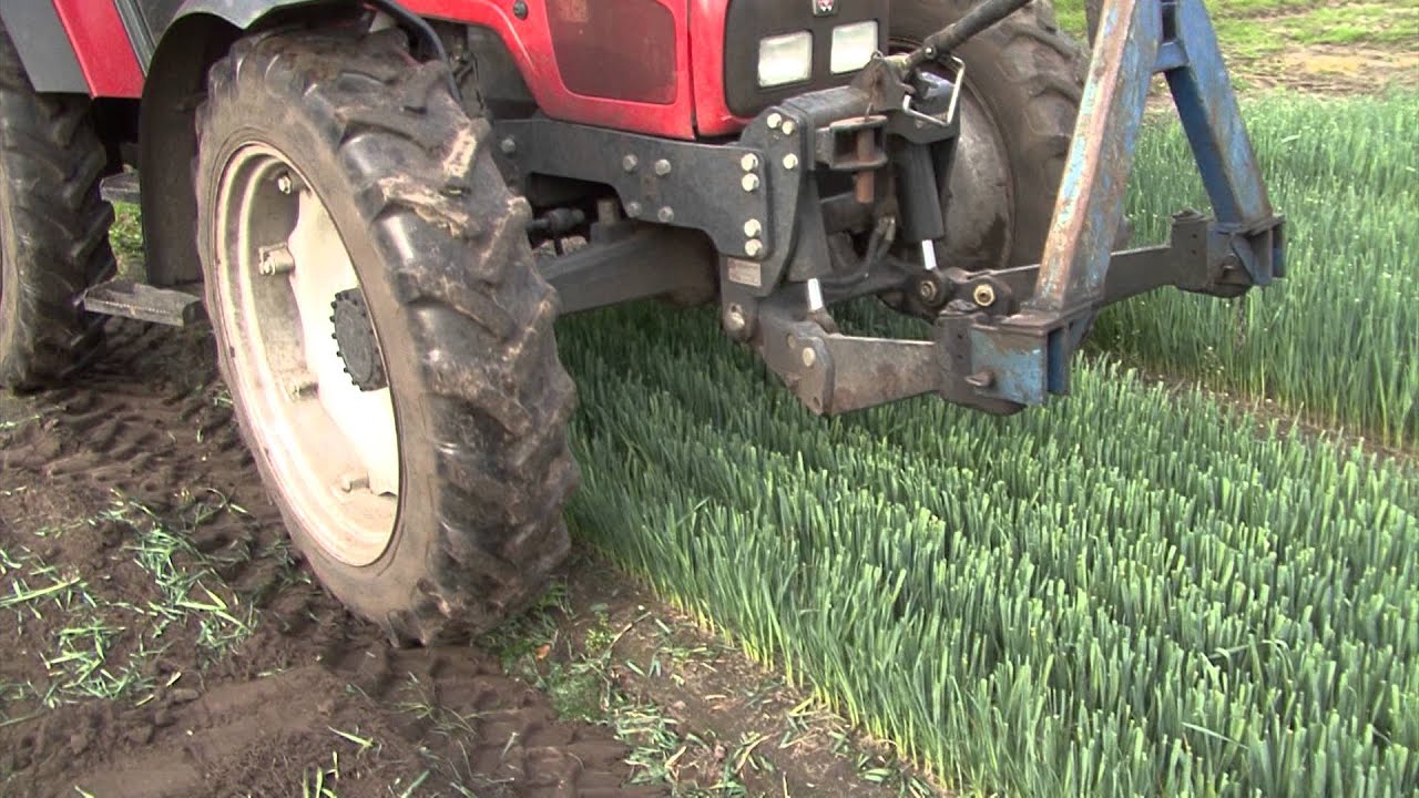 Passie voor Prei bedrijfsfilm van de broers Walter en Richard Biemans