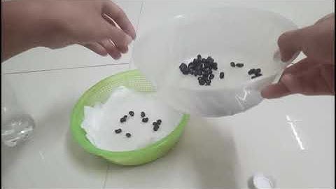 bài thực hành công nghệ 10 về giống cây trồng lớp 10A2