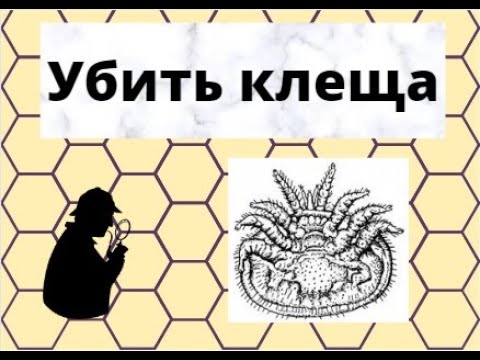 Убить Клеща