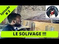 Je rénove une maison pour mon père : Episode 3 : le solivage