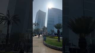 Aquí estuvieron Serj, Daron, Shavo y John de System Of a Down