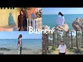 سفر ۳ روزه ی بوشهر Short Trip To Bushehr سفر ۳ روزه ی بوشهر Short Trip To Bushehr