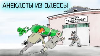 Анекдот про Похмелье после Праздников - Анекдоты из Одессы №279