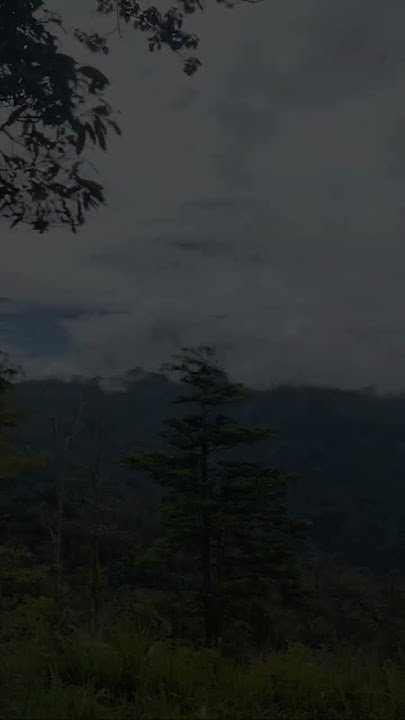 Healing Santai #healing #storywa #camping