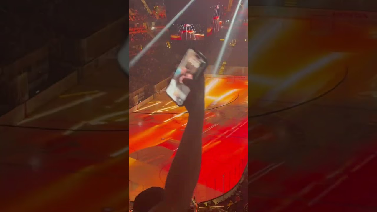 Awesome intro Ducks game 