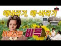 해바라기 해 바라기 이름 모를 비목 해바라기 비목 여수엑스포 소피아로렌