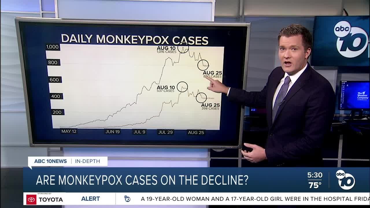 In-Depth: Are monkeypox cases on the decline? - YouTube