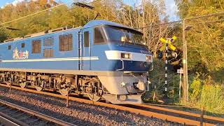 1092レ 名古屋タ~東京タ EF210-115【吹】#貨物列車ef210 #貨物列車 #おすすめ #おすすめ載せて #オススメ動画