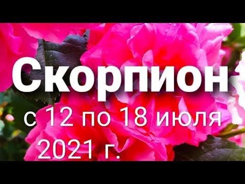 Video: Horoskop, 7. Marca, 2020, Zázrak