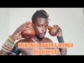 MANONHO MWANA MANHA UJUMBE BHOBHAGIKULU