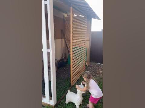 Наш новый небольшой дровенник😅мы постоянно чем то заняты 🥰 #дача # ...