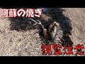 【観覧注意】２０２２野焼きしてたら〇体発見！