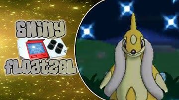 [LIVE] Shiny Floatzel after a 38 Pokeradar Chain!