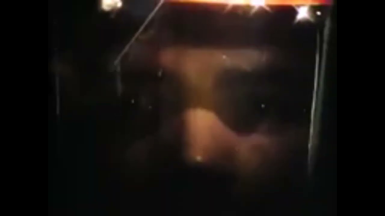 THE RIDE HOME  ザ・ライド・ホーム      MIAMI CASUAL