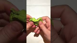 Watch and Learn How to Sculpt With Plasticine Quickly