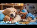 12 Hours Dog Calming Sleep Music 🐶 Relaxation Music for Dogs 🎶 Gentle Sounds for Healing Pet Sounds