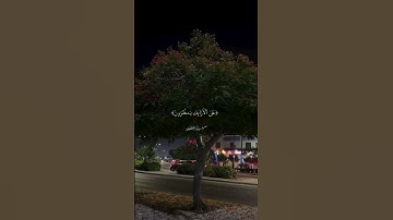 من سورة المطففين|القارئ سالم البوسعيدي|السورة كاملة على قناتي|#قرآن #اكسبلور #عمان #القرآن_الكريم