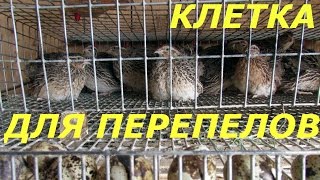 Как сделать клетку для перепелов своими руками. Видео.(Как сделать клетку для перепелов своими руками? Видео https://youtu.be/HvRpdnHEnx8 с пошаговой инструкцией. Смотрите..., 2016-11-06T04:42:56.000Z)