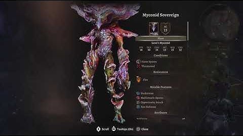 Extra Encounters and Minibosses mod #16. Mossy Myconids in the Arcane Tower