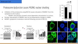 Aging triggers nuclear translocation of MGRN1 to promote neuronal survival